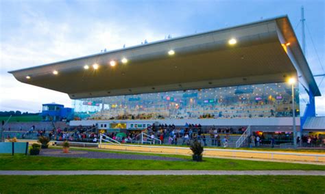 curraheen greyhound track|Prices & Deals .